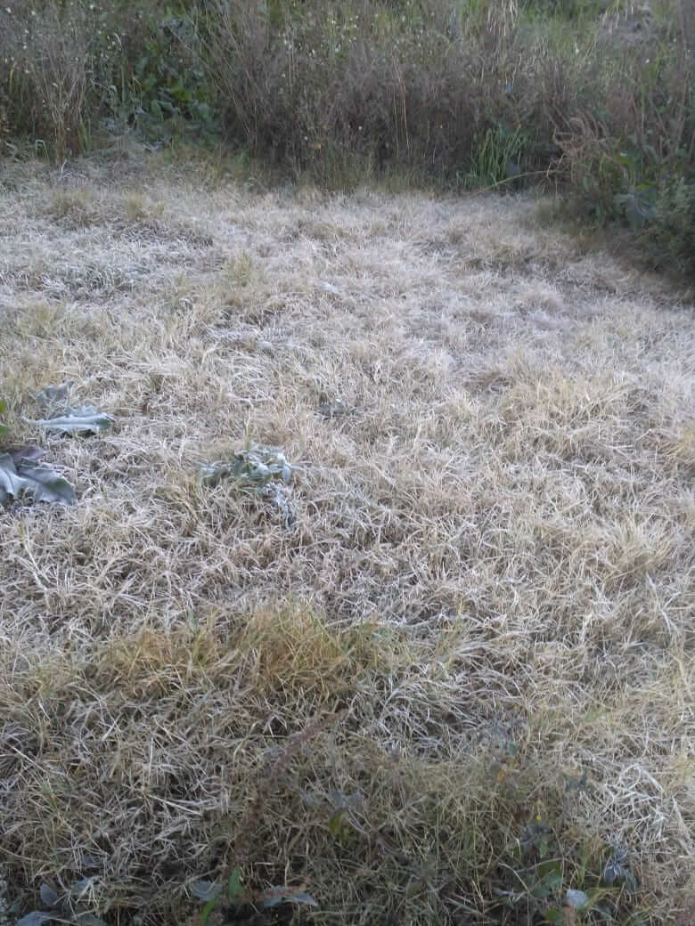 Waspadai Fenomena Embun Upas di Kawasan Bromo-Semeru