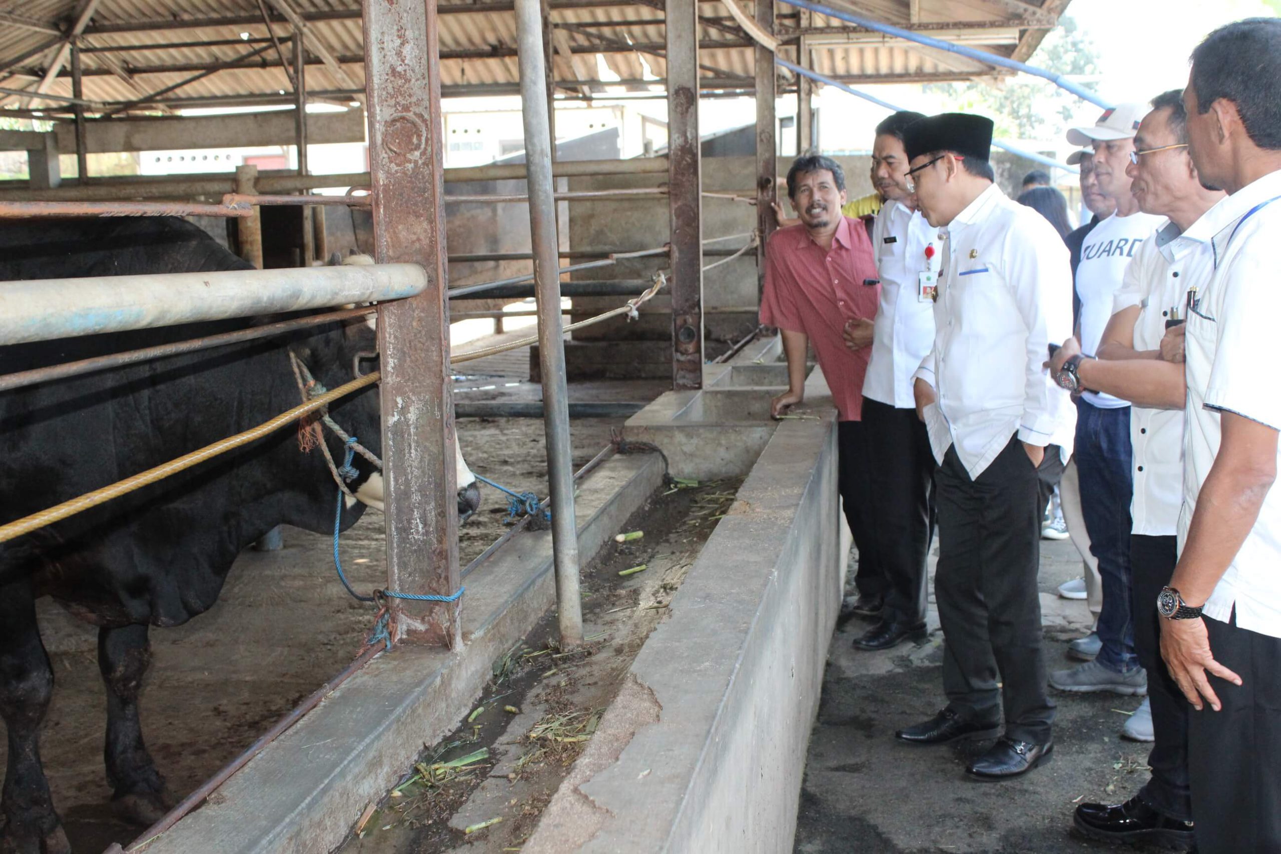 Demi Kenyamanan Warga dan Pengembangan, PD RPH Kota Malang Bakal Direlokasi Ke Arjowinangun