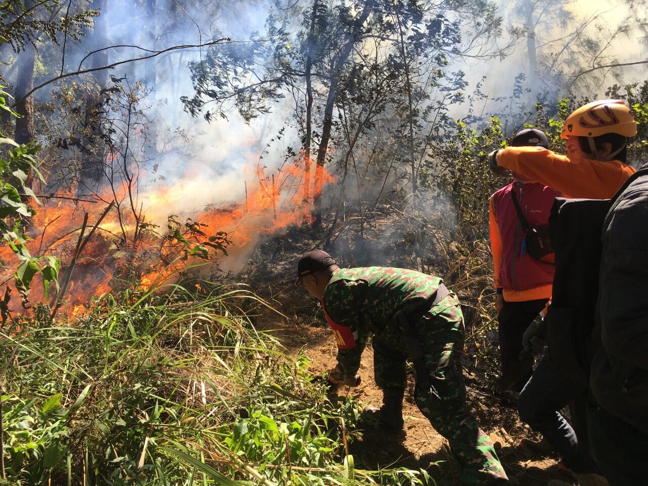Kebakaran Hutan Lereng Gunung Panderman Meluas