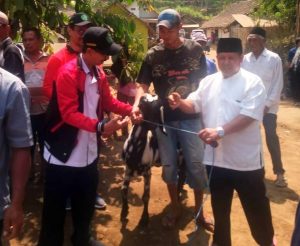 MTsN 1 Salurkan Hewan Kurban dan Bantuan ke Dawuhan Poncokusumo