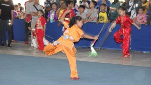238 Atlet Marakkan Wushu Open Tournament 2019