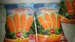 Bantuan Benih Jagung Hibrida di Kabupaten Malang Petani Ditarik Rp 3 Ribu Rupiah Per Kilo Oleh Kelompok Tani