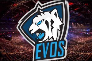 Evos e-sport