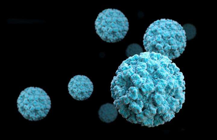 Ilustrasi Norovirus
