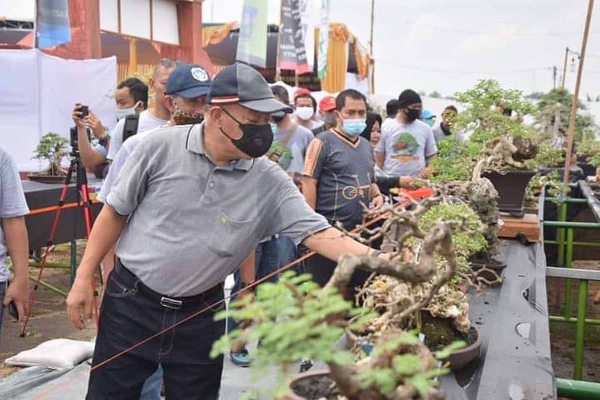 Pameran Bonsai Alternatis Hiburan Masyarakat Lamongan Ditengah Pandemi Covid-19