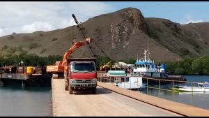 Pembangunan di Pulau Rinca - Kontroversi Pulau Rinca yang Dibangun Jadi ‘Jurassic Park’
