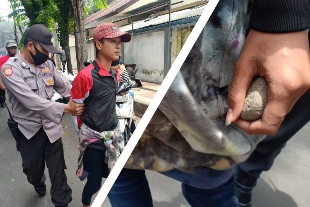 Pendemo membawa batu yang diduga akan melakukan kerusuhan saat berlangsungnya aksi demo
