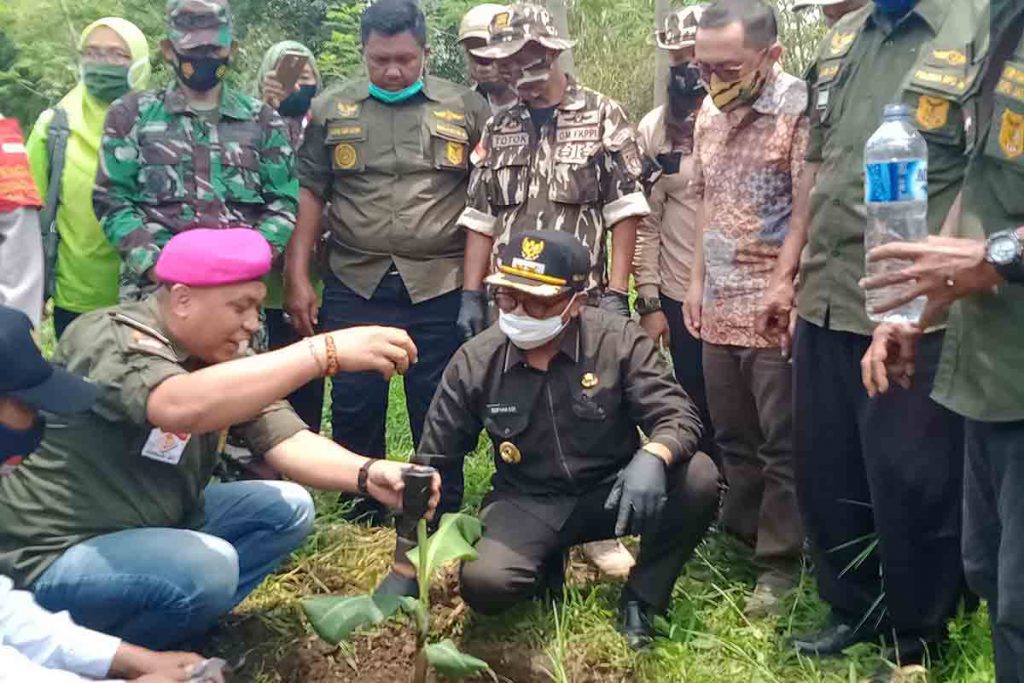 TANAM - Wawali Kota Malang Sofyan Edi Jarwoko menanam pohon pisang Cavendis