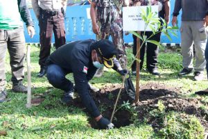 Bung Edi tanam pohon pule - Gaungkan Gerakan Tanam Pohon Untuk Kota Malang