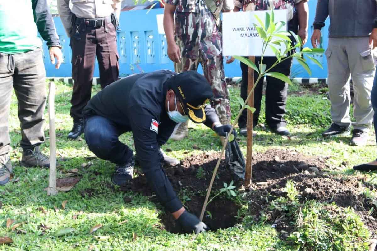 Bung Edi tanam pohon pule - Gaungkan Gerakan Tanam Pohon Untuk Kota Malang