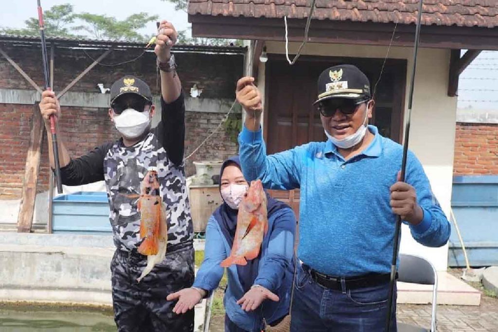 Hasil tangkapan ikan