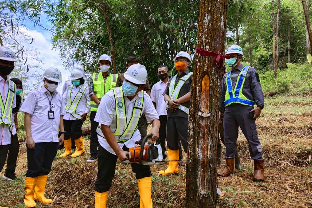 BENDUNGAN : Menandai Tebang Pohon, Pembangunan Bendungan Bagong, Penjabat Sementara (Pjs) Bupati Trenggalek, Drs. Benny Sampirwanto, M.Si., berharap Proyek Strategis Nasional (PSN) Bendungan Bagong bisa segera terealisasikan - Bendungan Bagong Diharap Segera Direalisasikan