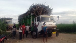 Ongkos Angkut Tidak Dibayar Oleh PT. IGG, Puluhan Sopir Truk Mogok Kerja
