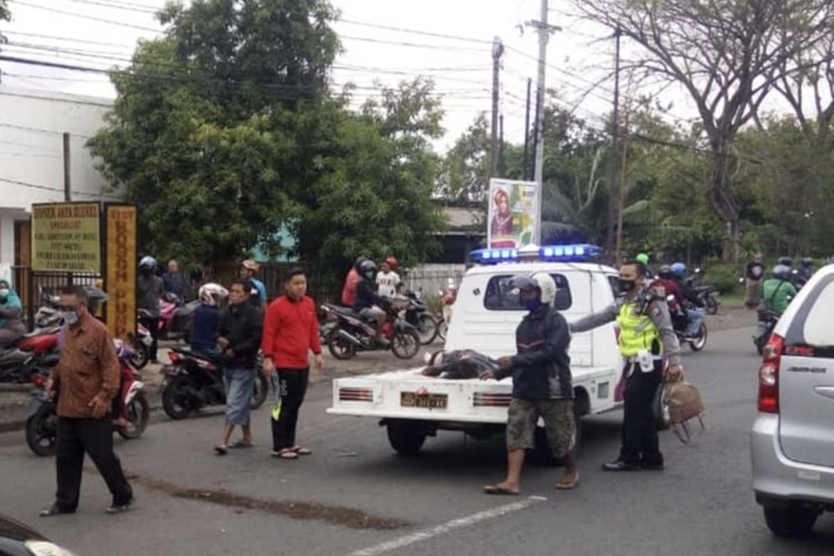 EVAKUASI - Petugas mengevakuasi jenazah korban kecelakaan tabrak lari, Yusticya Nirwesti (27) warga Perum Surya Residence, Desa Dukuhtengah, Kecamatan Buduran di JL Raya Gelam, Kecamatan Candi, Sidoarjo, Jumat (27/11/2020) - Motor Diserempet di JL Raya Gelam, Ibu Muda Asal Buduran Tewas