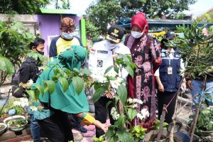 Wali Kota kunjungi Wonosari Go Green RW. 19 Kelurahan Purwantoro - Wali Kota Sutiaji: Kuatkan Ketahanan Pangan
