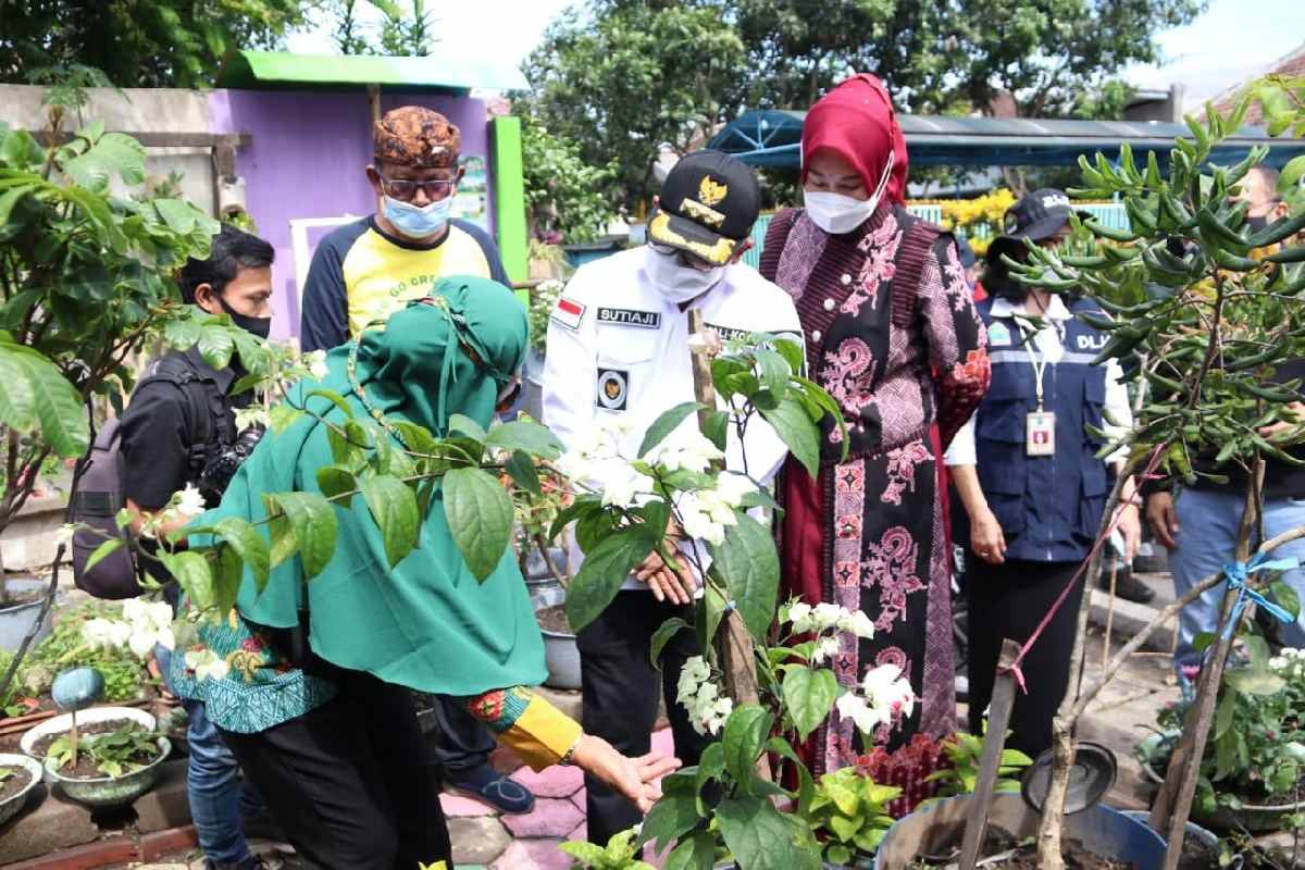 Wali Kota kunjungi Wonosari Go Green RW. 19 Kelurahan Purwantoro - Wali Kota Sutiaji: Kuatkan Ketahanan Pangan
