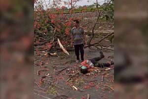 Akibat tumbangnya pohon perindang tersebut, satu orang pengendara dinyatakan tewas sebelum mendapat perawatan tim medis RSUD Bangil - Awas Musim Angin Kencang, di Bangil Pengendara Motor Tewas Tertimpa Pohon