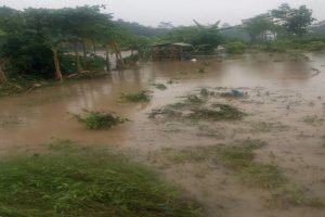 Jembatan antar dusun di wilayah Kecamatan Gandusari, Kabupaten Blitar rusak diterjang banjir bandang. (memox/Ist) - HUJAN TIBA BANJIR DATANG - BLITAR : Banjir Bandang di Blitar Putuskan Jembatan dan Tenggelamkan Sawah