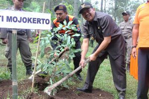 Bupati lakukan penanaman pohon untuk penghijauan kembali lahan yang gundul - Pemkab Mojokerto Siapkan Perangkat Deteksi Dini
