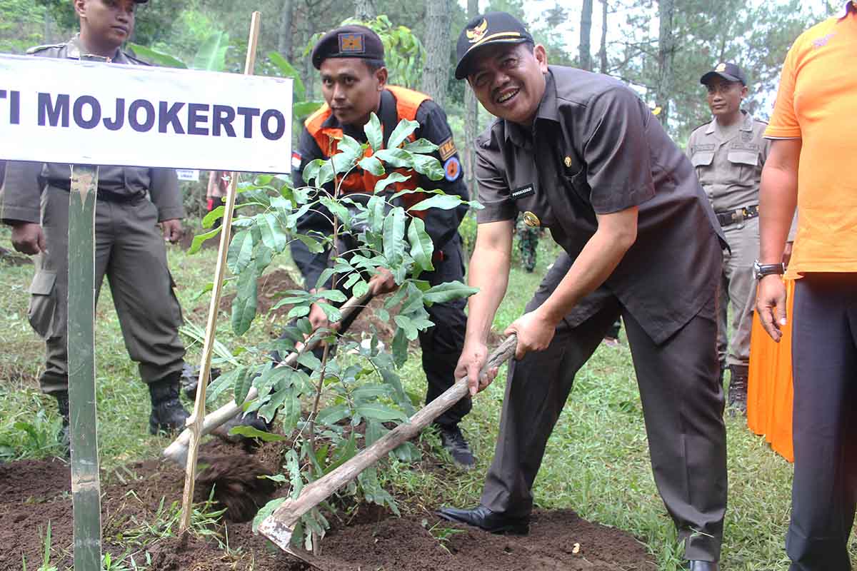 Bupati lakukan penanaman pohon untuk penghijauan kembali lahan yang gundul - Pemkab Mojokerto Siapkan Perangkat Deteksi Dini