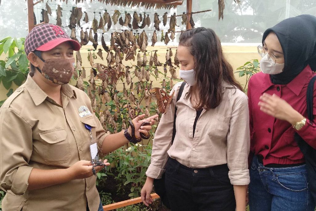 Edukasi langsung kepada pengunjung Baloga. (rhd) - Batu Love Garden Usung Keunikan 600 Tanaman