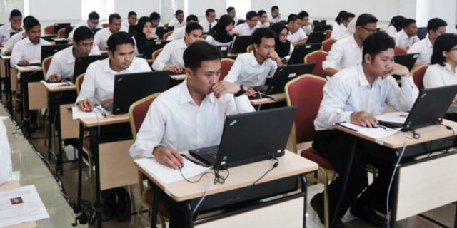 CPNS. (ist) - Ini Link Untuk Cek Update NIP CPNS 2019