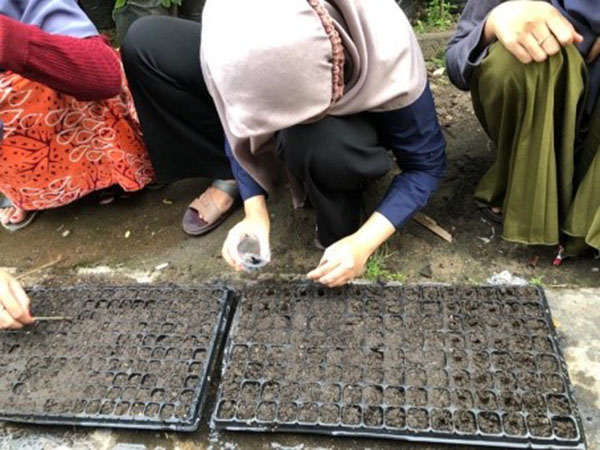 Ibu-ibu sedang melakukann penyemaian bibit - Pekarangan Pangan Lestasi (P2L) Solusi Ketahanan Pengan Ditengah Pandemi Covid-19