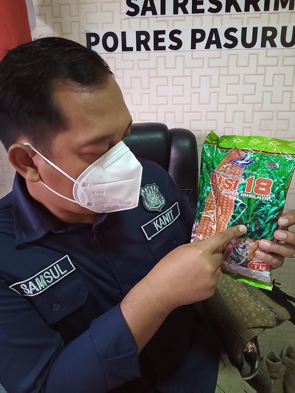 Ipda Samsul Kanit II Tipidek menunjukan benij Bisi-18 Palsu - Pemalsu Benih Jagung Bisi-18 Tertangkap Petugas
