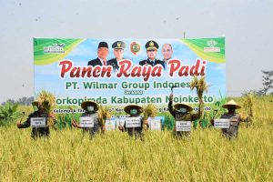 Panen raya padi sistem Demplot di Kecamatan Gondang - Pjs Bupati: Petani Adalah Pekerjaan Yang Sangat Mulia