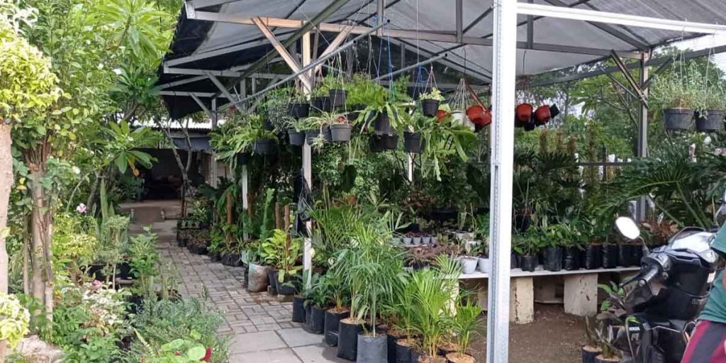 Pasar seribu satu bunga, sebuah sentra tanaman hias di Desa Banyurip Kedamaian