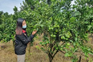Rawat Aku, Akan Kuberi Vitamin C Untukmu