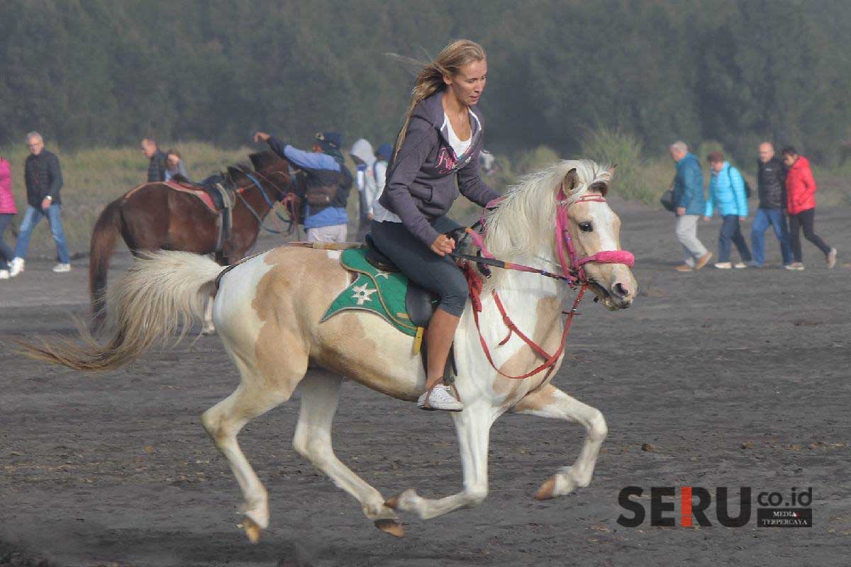 Kaldera Tengger Bromo hanya boleh dilalui selain kendaraan bermotor, seperti berkuda dan jalan kaki. (rhd) - Tiga Hari Kaldera Tengger Bebas dari Kendaraan Bermotor