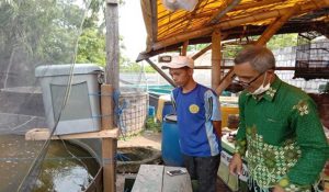 BANTUAN - Ketua Tim Abdimas Umsida, Sumarno menyerahkan bantuan Mesin Otomatis Pemberi Pakan Ikan Nila ke peternak di Desa Kalitengah, Kecamatan Tanggulangin, Sidoarjo, Kamis (28/01/2021) - Abdimas Umsida Bantu Mesin Otomatis Pemberi Pakan Ikan - Untuk Peternak Tanggulangin