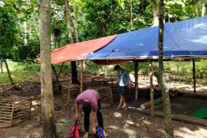 Lokasi sabung ayam usai digerebek petugas - Penjudi Sabung Ayam 'Diobrak' Polisi