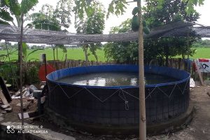 Tampak pembuatan kolam Bibit lele yang diberikan oleh Dinas Perikanan Kota Pasuruan - Pemkot Akan Beri Bantuan Stimulus Bio Flok dan Bibit Lele