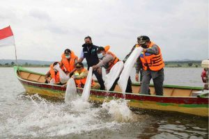 Bupati Fadeli Menebar Benih dan Salurkan Bantuan Udang Vaname