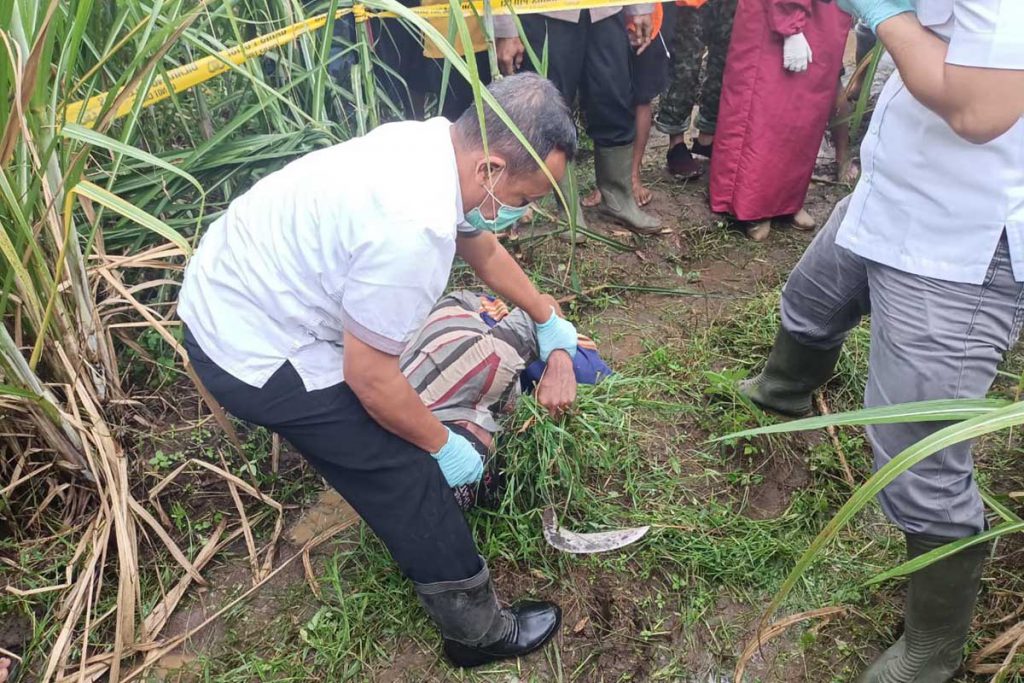 Kondisi korban saat ditemukan di kebun - Pamit Cari Rumput Meninggal di Kebun