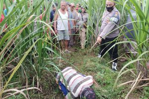 Pamit Cari Rumput Meninggal di Kebun