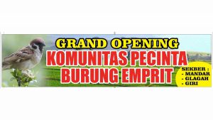 Pecinta Burung Akan Lepas Ribuan Burung Emprit