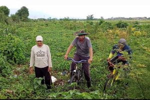 Pegowes Bisa Lewat Ditengah Sungai Wrati