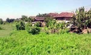 Pemukiman warga terdampak di bantaran sungai Bangil Tak atau Kali Mati - 1150 Rumah di Bantaran Sungai ‘Bangil Tak’ Akan Digusur - DPRD dan Warga Tawarkan Solusi Relokasi