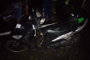 Tabrak Tiang Listrik Warga Jember Meninggal Di TKP