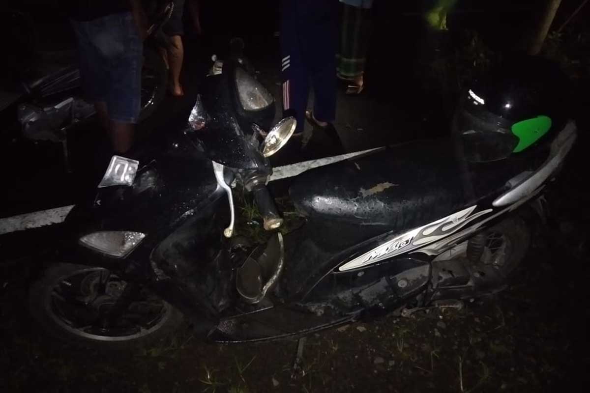 Tabrak Tiang Listrik Warga Jember Meninggal Di TKP