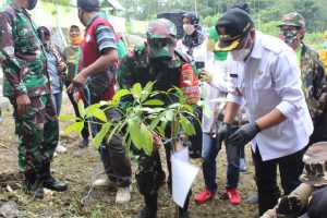 Tanam pohon pule di Taman Makam Bahagia. (ist) - Hormati Pejuang, Forpimda Tanam 100 Pohon Pule di Taman Makam Bahagia