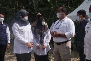 Bupati Banyuwangi, Ipul Fiestandani Azwar Anas didampingi Senior Manager External Affair PT Bumi Suksesindo, Sudarmono saat memantau Dam Kali Kawat, Dusun Krajan, Desa Sarongan, Kecamatan Pesanggaran, Kamis (26/3/2021) siang - Senyum Petani Berkat Dam Kali Kawat