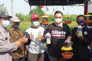 Panen raya tersebut dihadiri Bupati Kediri Hanindhito Himawan Pramana atau Mas Bup Dhito di area persawahan Desa Bangkok Kecamatan Gurah Kabupaten Kediri, Jawa Timur, Kamis (18/3/2021) pagi - Mas Bup Bersama Poktan Sidodadi Panen Raya Padi Organik