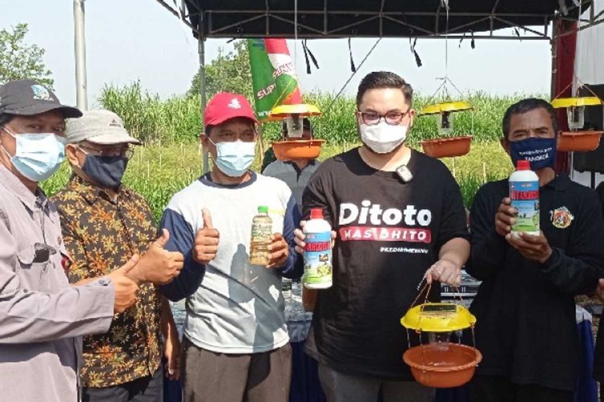 Panen raya tersebut dihadiri Bupati Kediri Hanindhito Himawan Pramana atau Mas Bup Dhito di area persawahan Desa Bangkok Kecamatan Gurah Kabupaten Kediri, Jawa Timur, Kamis (18/3/2021) pagi - Mas Bup Bersama Poktan Sidodadi Panen Raya Padi Organik
