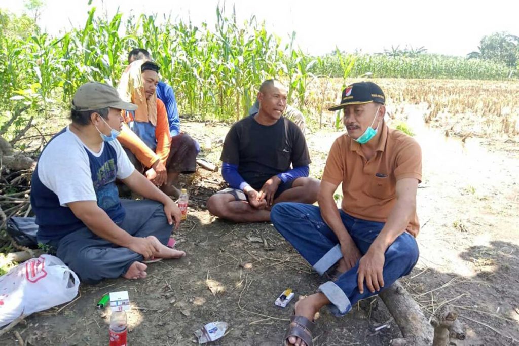 Banyak Mendapatkan Keluhan Harga Padi Anjlok, Politisi Gerindra Terjun Langsung Ke Lapangan
