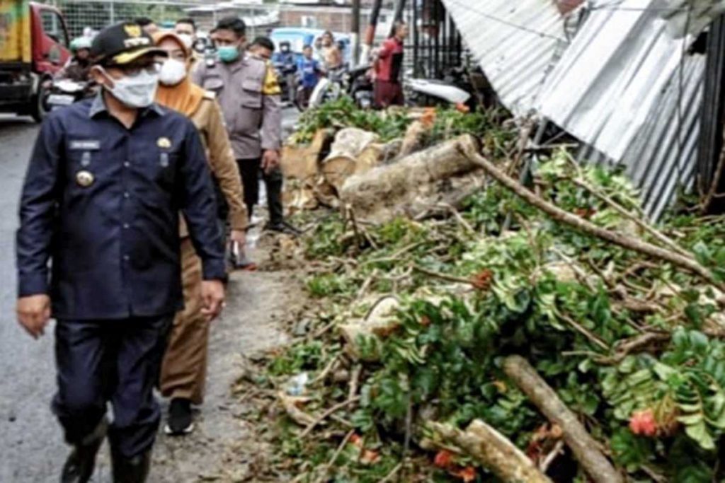 Sutiaji tinjau lokasi pohon tumbang. (ist) - BPBD Ingatkan Waspada Cuaca Ekstrim Hingga Akhir Maret