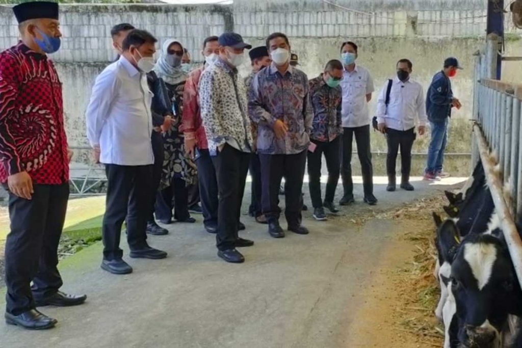 Meninjau peternakan sapi. (ist) - Menteri Koperasi dan UKM Berikan Pinjaman Lunak Koperasi SAE Pujon